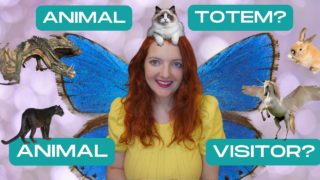 animal totems vs animal visitors