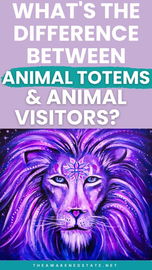 difference between animal totem and animal visitor 